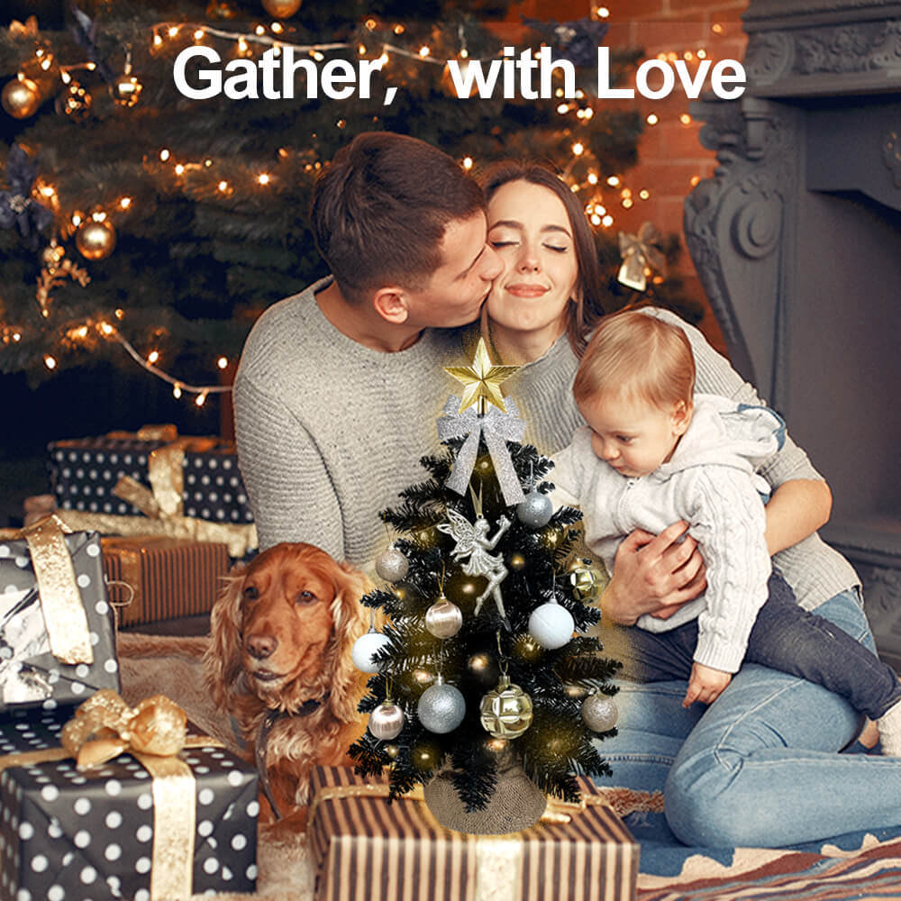 2ft Tabletop Christmas Tree with Light Christmas Decoration with Flocked Snow