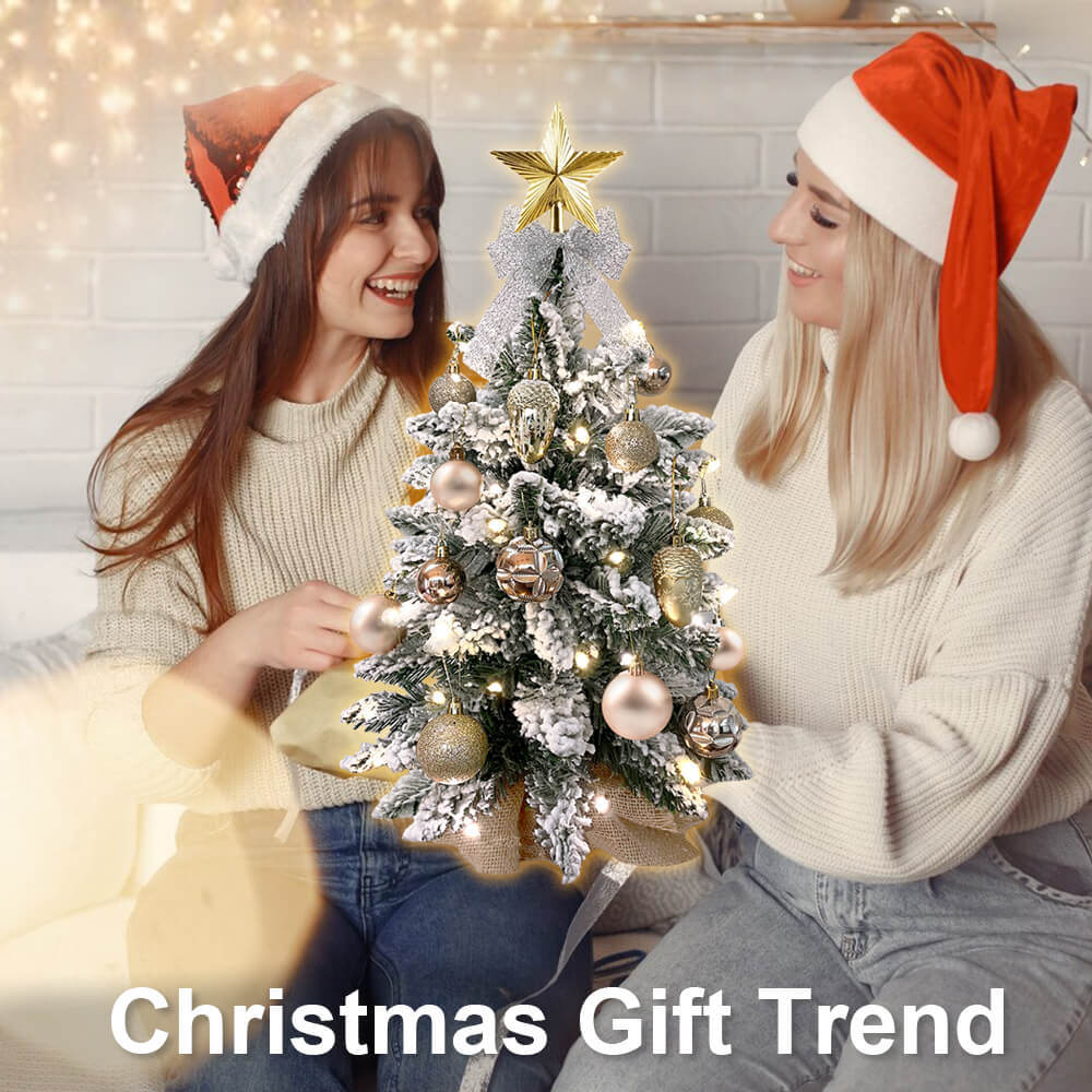 2ft Tabletop Christmas Tree with Light Christmas Decoration with Flocked Snow