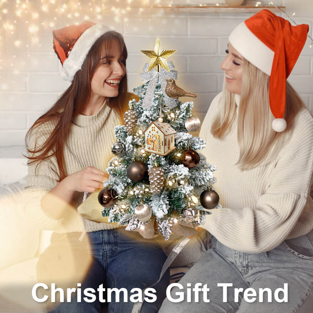 2ft Tabletop Christmas Tree with Light Christmas Decoration with Flocked Snow